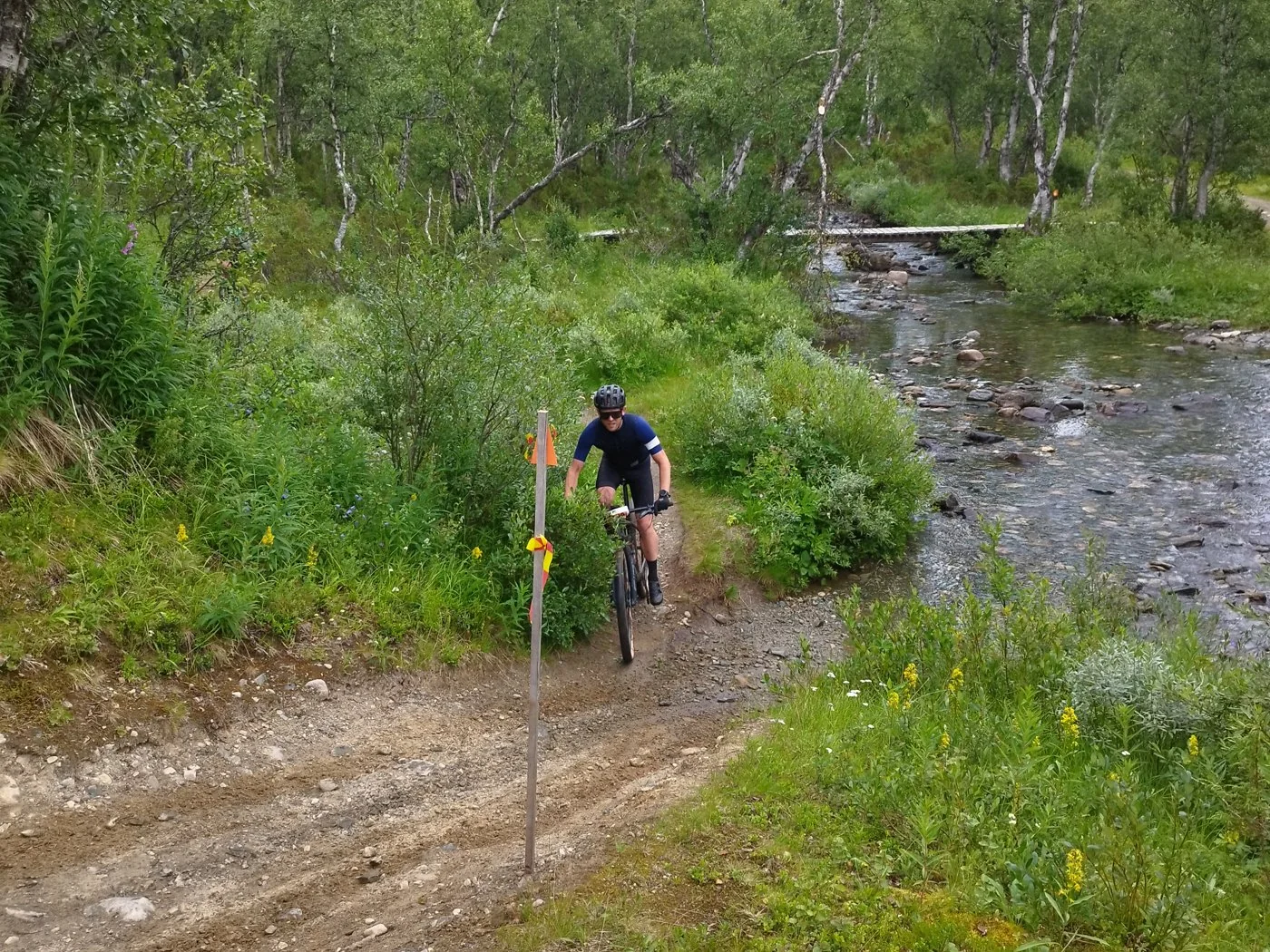 Cyklist korsar backen pa MTB-banan